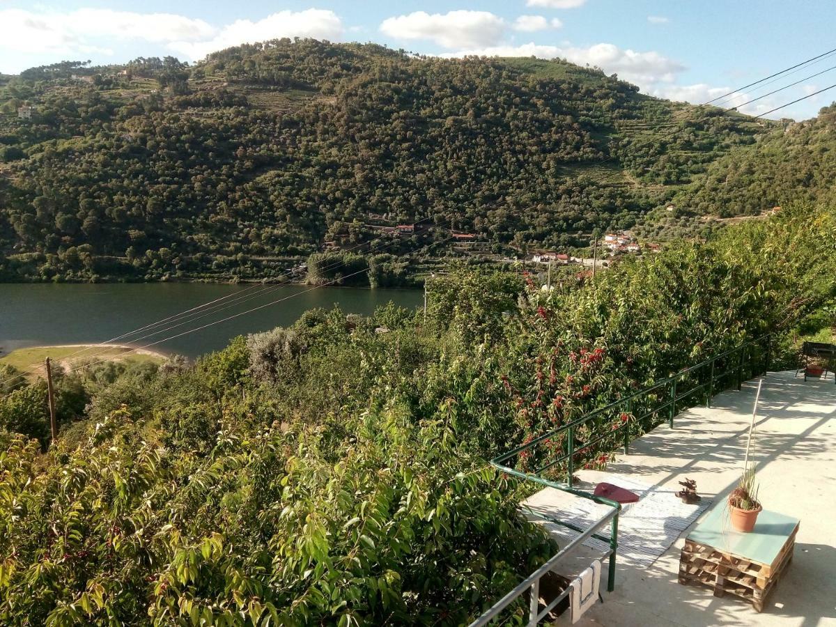 Villa Douro Balcony Resende Exterior foto